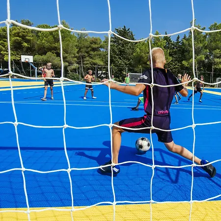 リゾート Zaton Homes