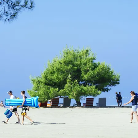 Homes Resort Zaton (Zadar)