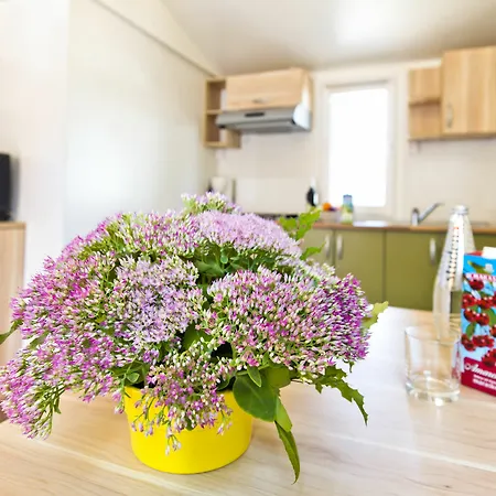 Курортный комплекс Zaton Mobile Homes 2*